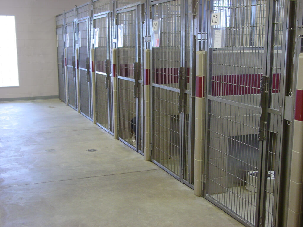 Kennel