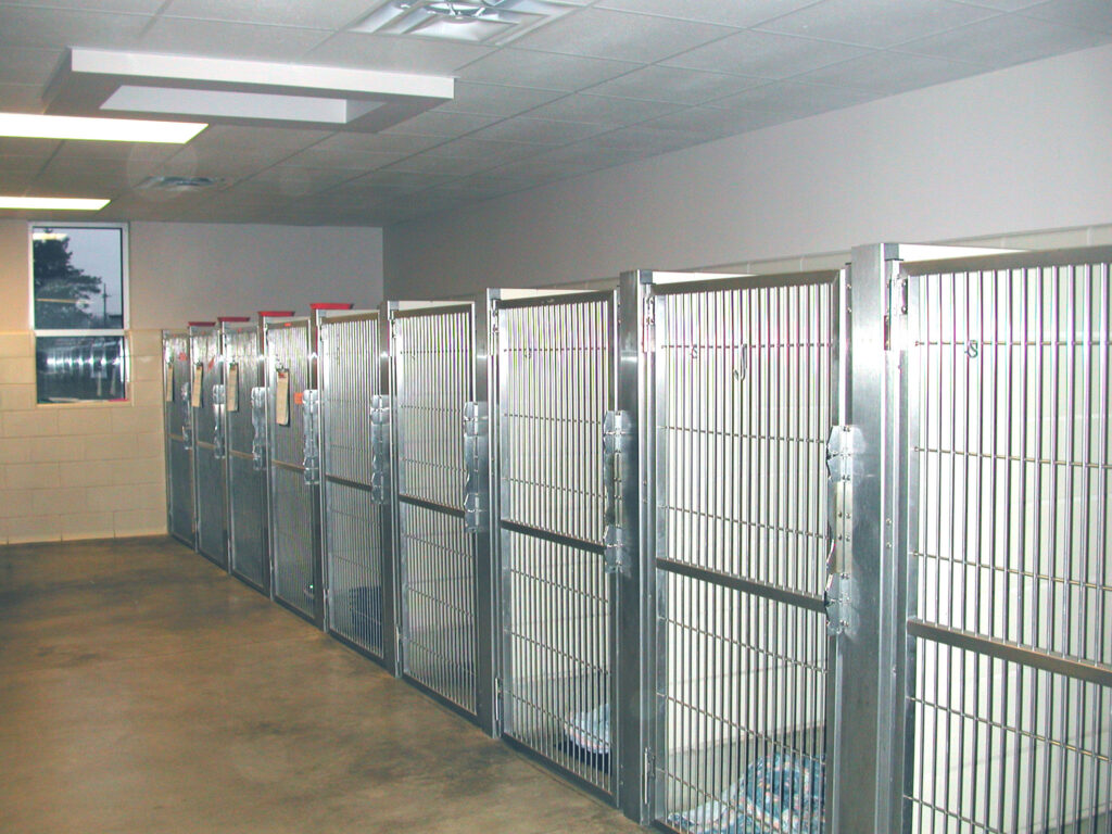 Kennel