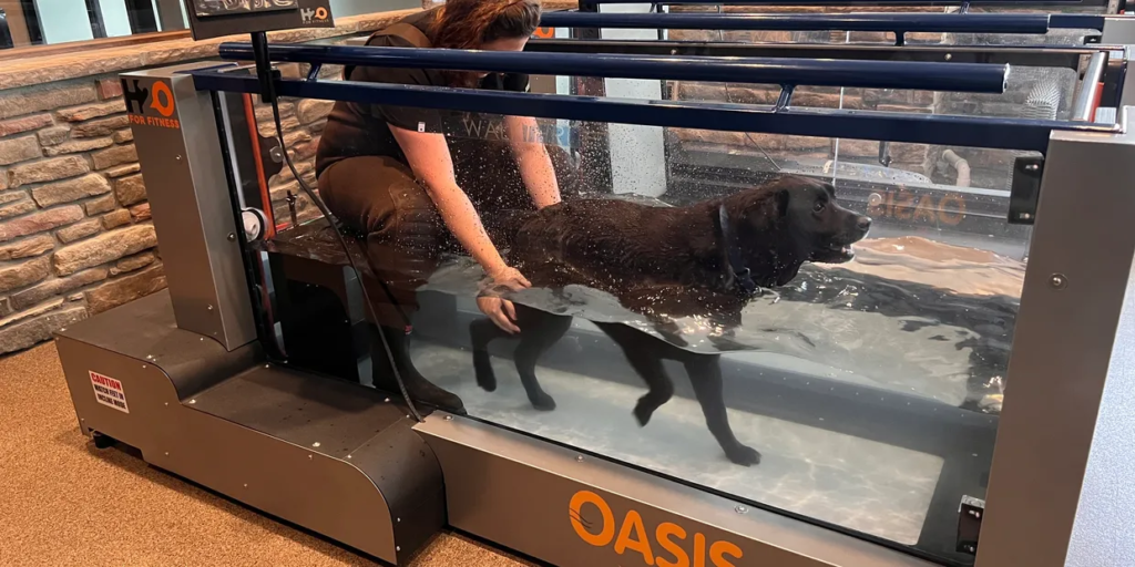 Underwater treadmill